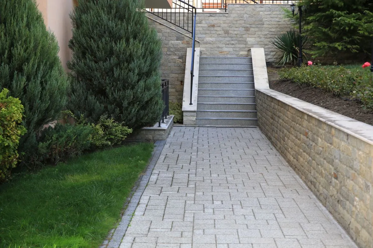 beautiful concrete stairs near trees and pave pathway