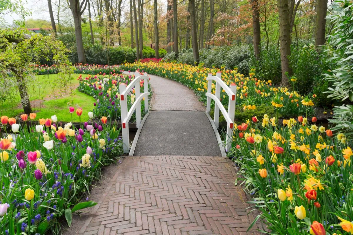 stone walk way in garden